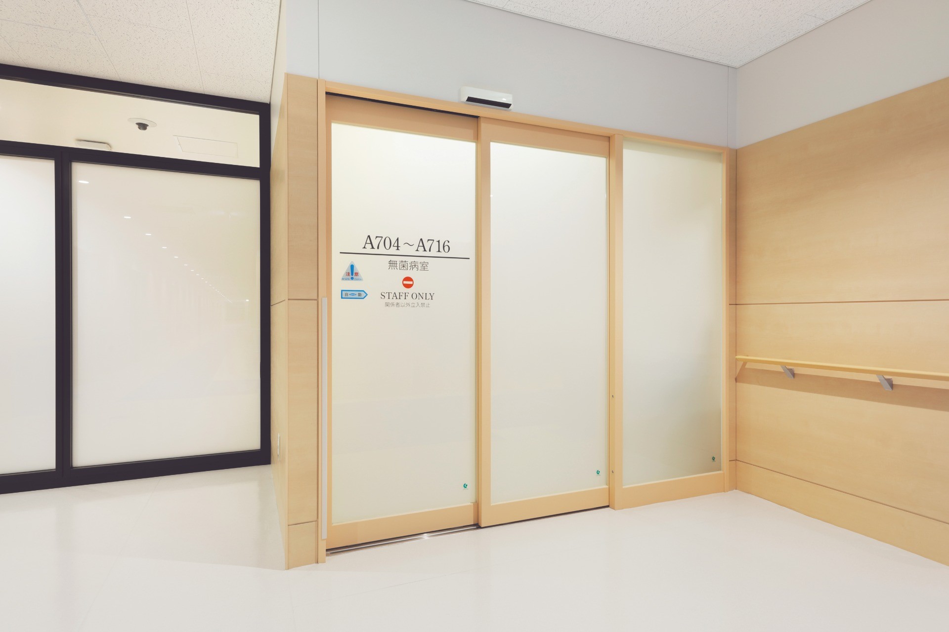 小児から成人まで、連携の力で血液疾患に挑む